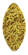 KASSHI PRODUCT