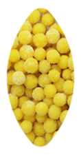 KASSHI PRODUCT