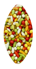 KASSHI PRODUCT