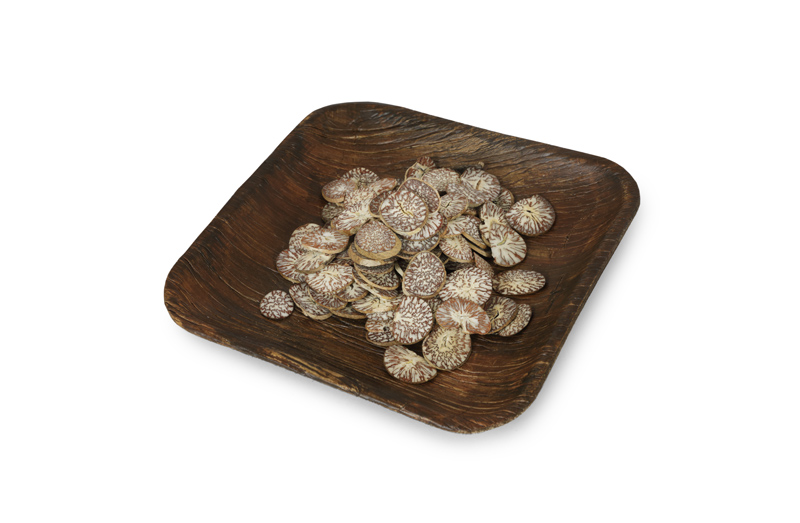 KASSHI PRODUCTS