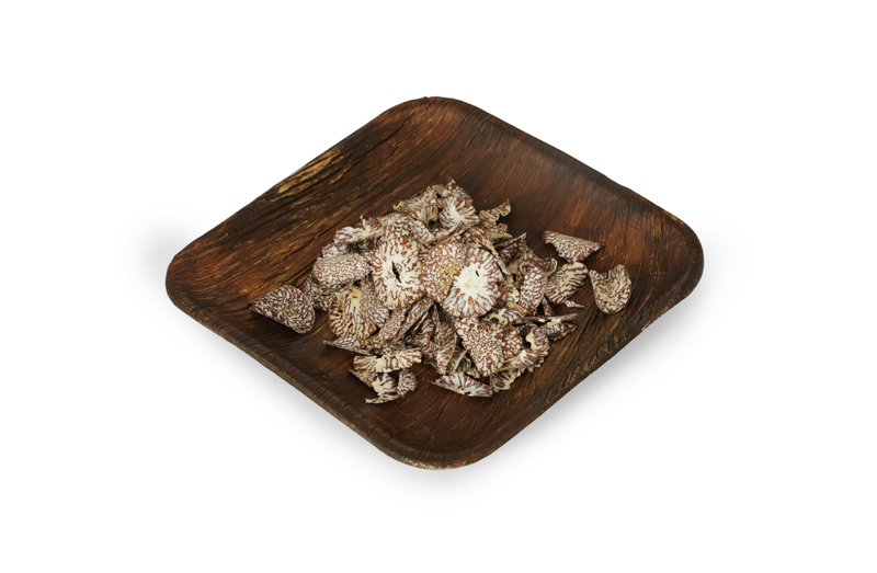 KASSHI PRODUCTS